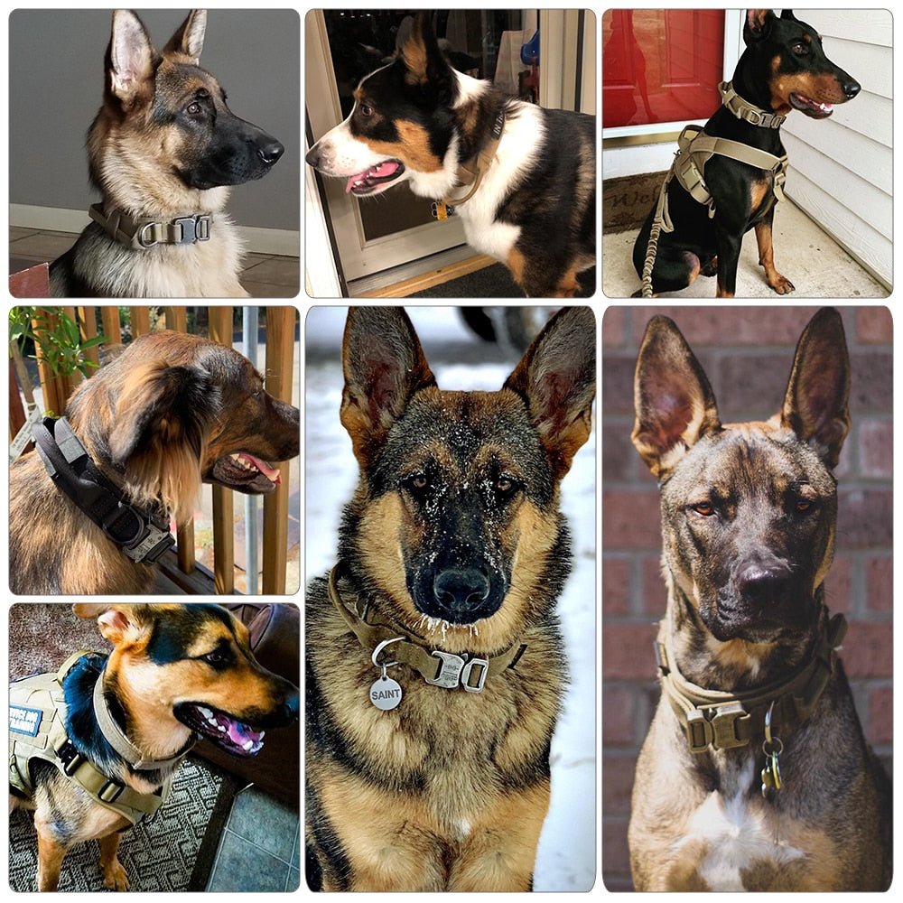 Heavy-Duty Tactical Dog Collar – Durable & Secure
