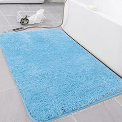 Household floor mat doormat